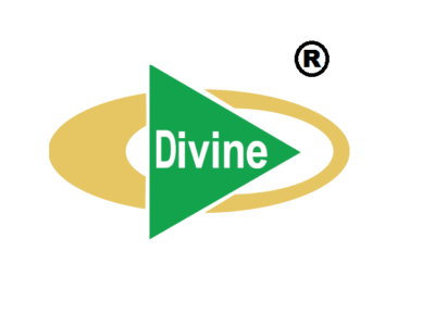 Divine Spinning Mills Ltd.