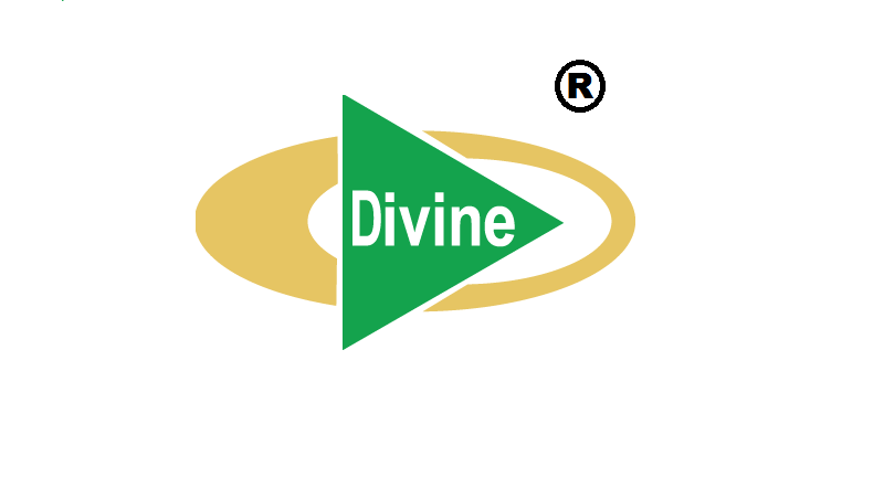 Divine Spinning Mills Ltd.