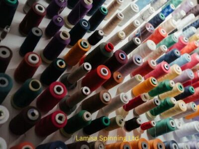 Lamisa Spinning Ltd