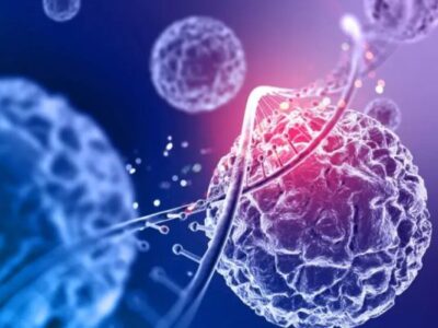 YUEYANG RUIKANG BIOTECHNOLOGY CO., LTD