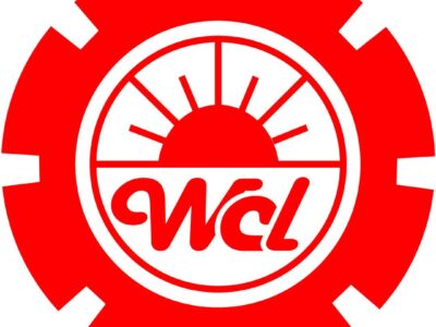 Wholesome Chemicals Ltd