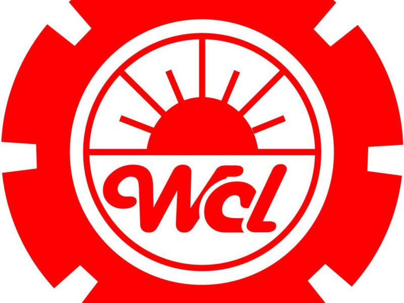 Wholesome Chemicals Ltd