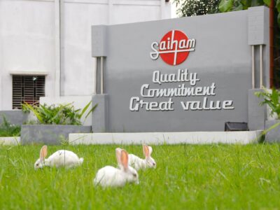 Saiham Cotton Mills Ltd