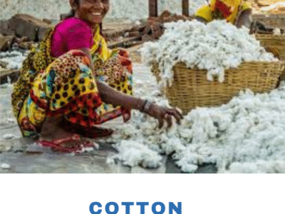 Cotton Council International