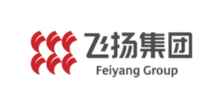 DONGGUAN FEIYANG AUTOMATION TECHNOLOGY CO., LTD.
