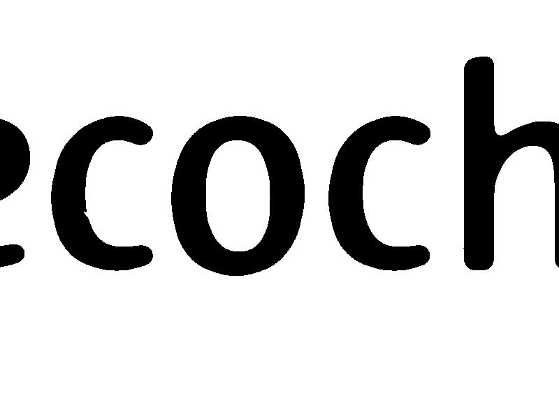 Eco Chem Bangladesh (Pvt.) Ltd.