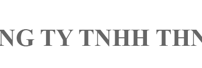 CONG TY TNHH VIET NAM