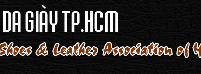 HOI DA GIAY THANH PHO HO CHI MINH