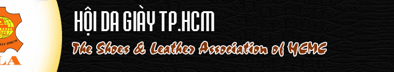 HOI DA GIAY THANH PHO HO CHI MINH