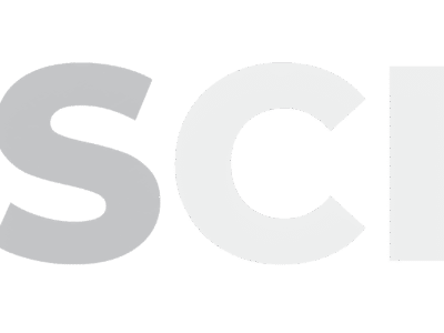 GUANGZHOU WITS CHEMICAL CO.LTD