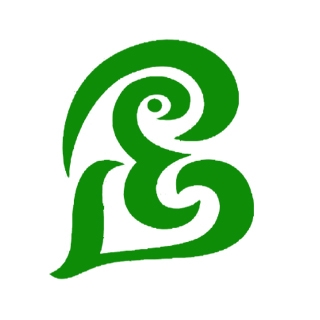 THE BIRDS EYE DESIGN