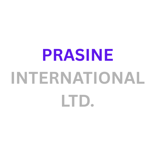 PRASINE INTERNATIONAL LTD.