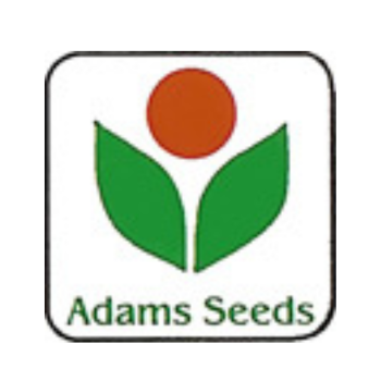 Adams Enterprise Ltd.