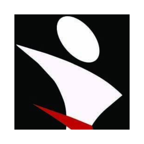 MEGA LOOK FASHION LTD