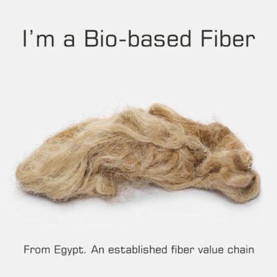 Egyptian Flax Exporting