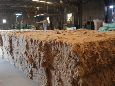 SuperView, Egyptian Flax Exporting