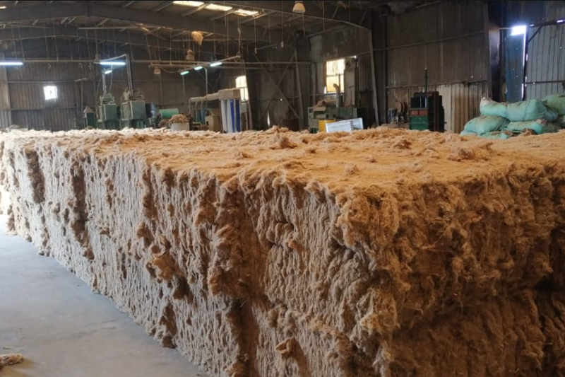 SuperView, Egyptian Flax Exporting
